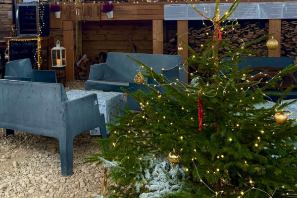 Decembris Z/S Dobelnieki briežu dārzā